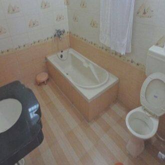 Falcon Guest House, Bharatpur 4